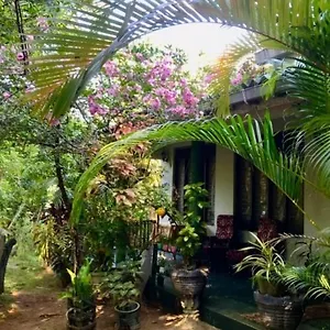 https://village-guest-21120.kandyhotelsnow.com